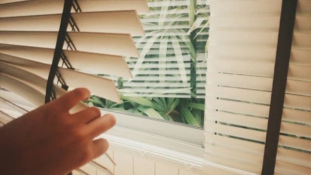 Venetian Blinds Privacy: Master Light & Luxury in Dubai