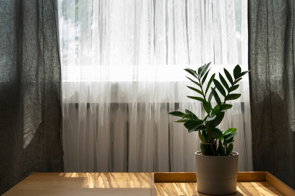 Sheer Curtains Dubai: Privacy with Natural Light