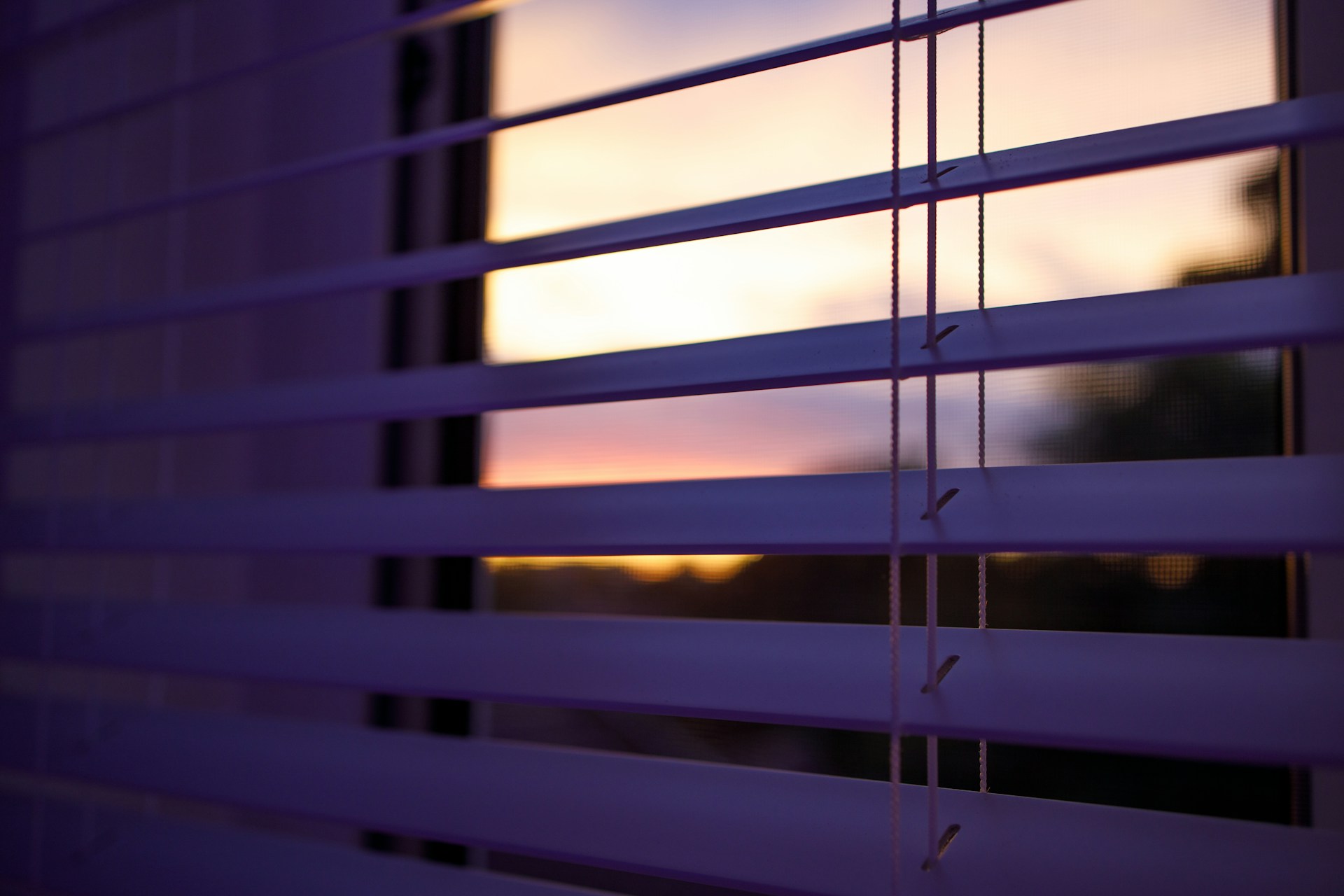 Top Dubai Blinds Company Near Me | Premium Window Blinds & Shades